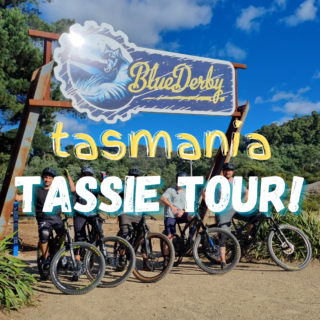 Derby Mountain Blue Tier Mtb Trail Scout Bags Trail Mountain Bike Frame Bag  (3 Sizes) Bikepacking